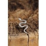 Otantik Yılan Tasarımlı Ayarlamalı Kadın Yüzük