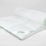 Othello 155x215 Coolla Yorgan