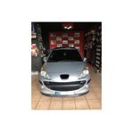 Oto H.i.t. Peugeot 207 Uyumlu Astra H Lip 2 Parça Ön Tampon Eki 1. Sınıf