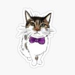 Oto Ufak Bebek Kedi Araba Sticker Etiket Renkli V3