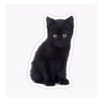 Oto Ufak Bebek Kedi Araba Sticker Etiket Renkli V6