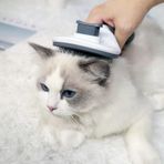 Otomatik Tuslu Kedi Kopek Tarama Fircasi Timar Taragi Yumusak Uclu Tuy Toplayici