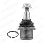Otozone ROTIL ON ALT LAND ROVER DISCOVERY 3 L319 RANGE ROVER SPORT 1 L320 RBK500280
