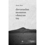 Ötüken Neşriyat Duvarından Memnun Olmayan Taş Fatma Aksu