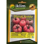 OTURAK PEMBE DOMATES TOHUMU (NESLİŞAH F1) 20 ADET TOHUM