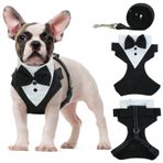 OUOBOB Köpek smokin tasma seti, resmi köpek koşum takımı, papyon ile resmi köpek koşum takımı, Düğün için köpek yelek koşum takımı, Küçük orta boy köpekler için köpek kostümü, Açık hava doğum günü