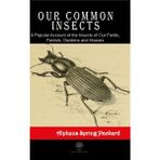 Our Common Insects - Alpheus Spring Packard
