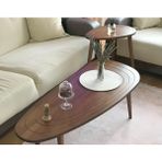 Oval Modern Orta Sehpa