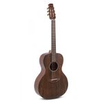 Ovation AAP-96-AN Applause Vintage Akustik Gitar