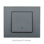 Ovivo Grano Füme Light / Zil Anahtarı - Çerçeve Dahil Gri