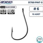 Owner 51789 Pint-S Delikli İğne #6 (10 Adet) Siyah