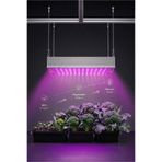 Oxford Sport Full Spectrum 100W LED Grow Light Bitki Yetiştirme Lambası Soğutuculu Profesyonel Bitki Büyütme Işığı