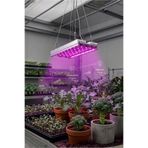 Oxford Sport Full Spectrum 50W LED Grow Light Bitki Yetiştirme Lambası Soğutuculu Profesyonel Bitki Büyütme Işığı