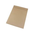 Oyal 26x35 125 gr 250'li Çaycuma Torba Zarf