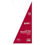 Oyal 30005913 Diplomat Zarf, Pencereli Kraft, 25'li