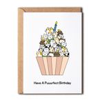 OystersPearl Have A Purrfect Doğum Günü Kedi Kartı - Sevimli Doğum Günü Kartı - Doğum Günü Kartı - Doğum Günü Pastası - Doğum Günü Cupcake - Sevimli Kedi Kartı - Komik Doğum Günü Kartı