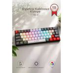 Oyuncu Klavyesi Rgb Işıklı Mekanik Şarjlı Kablosuz Blue Switch Q Klavye Tk11 Beyaz