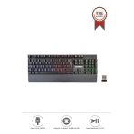 Oyuncu Klavyesi Rgb Işıklı Mekanik Şarjlı Kablosuz Klavye TK10 Siyah