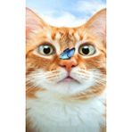 Ozan Tuhafiye Hı Stone 5d Elmas Boncuk Taş Işleme Mozaik Goblen Kit 20X30CM MR26277