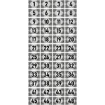 Özarslan Dizayn 3.5x5 cm Gümüş Renk 48 Adet Metal Kapı Masa Dolap Numara Levhası