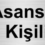 Özarslan Dizayn Asansör 10 Kişiliktir 7x20 cm Gümüş Renk Metal Yönlendirme Levhası