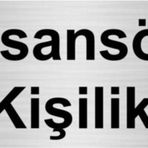 Özarslan Dizayn Asansör 8 Kişiliktir 10x20 cm Gümüş Renk Metal Yönlendirme Levhası