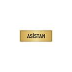 Özarslan Dizayn Departman Kapı İsimliği Asistan 10x20 cm Altın Renk Metal Yönlendirme Levhası