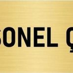 Özarslan Dizayn Departman Kapı İsimliği Personel Çıkışı 5x20 cm Altın Renk Metal Yönlendirme Levhası