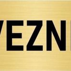 Özarslan Dizayn Departman Kapı İsimliği Vezne 10x20 cm Altın Renk Metal Yönlendirme Levhası