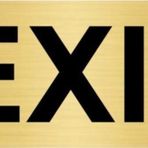 Özarslan Dizayn Exit 5x20 cm Altın Renk Metal Yönlendirme Levhası