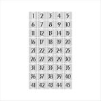 Özarslan Dizayn Metal Kapı Masa Dolap Numarası Sade Model 10 x 10 cm Gümüş Renk 45 Adet (1…45)