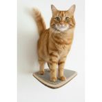 Özbience Büyük Boy Kedi Tırmanma Rafı ve Duvar Yürüme Platformu Seti - Seçenek 1