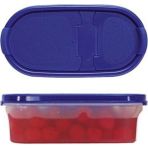 Özbience Şık Oval Kuru Gıda Saklama Kabı 500 Ml, Hızlı ve Güvenli Saklama - Amber - Seçenek 1