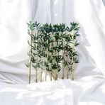 Özcan Flowers 60 cm 20'Li Islak Dokulu Yapay Bambu