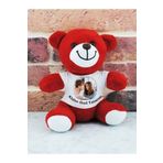 Özcan Tasarım Kişiye Özel Peluş Ayıcık - Resimli Ayıcık - Sevgiliye Ayıcık - Kişiye Özel Ayıcık ( 25 Cm )