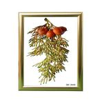 ÖZCANLAR ÇERÇEVE Hediyelik Çerçeve Ev Home Ofis Kişiye Özel Resim Çerçevesi Masaüstü 25x30 25X30-Lam22-Gümüş