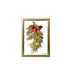 Ozcanlar Cerceve Hediyelik Çerçeve Ev Home Ofis Kişiye Özel Resim Çerçevesi Masaüstü 25x38 25X38-Lam22-Gümüş
