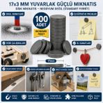 Ozcmax 100 Adet Mıknatıs 17X3 mm Yuvarlak Güçlü Mıknatıs Dissk Mıknatıs