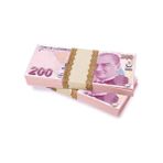 Ozcmax Düğünn Parası - 100 Adet 200 Tl