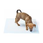 Ozcmax Yıkanabilir Köpek Çiş Pedi - 100 x 100 cm