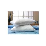 Özdilek 50x70 cm 600 gr Eko Ranforce Silikon Yastık