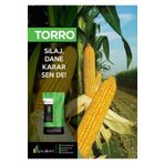 Özek Ticaret Polen Torro Silajlık Mısır Tohumu