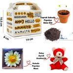 Özel Hello Kutuda Peluş Ayıcık, Papatya Mum ve Çiçek Ekim Kiti Hediye Kutusu - 03