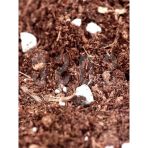 Özel Karışım Saksı Harcı, 10 Lt Torf Cocopeat Ve Perlit