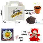 Özel Kutuda Papatya Temalı Peluş Ayıcık, Papatya Mum ve Çiçek Ekim Kiti Hediye Kutusu - 01