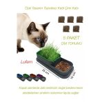 Özel Tasarım Topraksız Kedi Çimi Kabı Hidroponik Sistem Doğal Lif Çim Tohumu Yer Kaplamaz 25X10 Cm