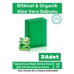 Özel Üretim %100 Doğal Koku Yüz Cilt Beyazlatıcı Organik Nemlendirici Aloe Vera Sabunu 3 Adet