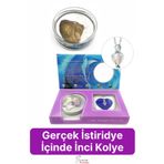 Özel Üretim Kutulu İstiridye İçinde Sevgiliye Anneye Gerçek İnci Kolye Hediye Kadın Aksesuar Seti