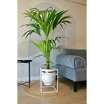 Özge design Metal Saksı Ayaklı Çiçeklik Beyaz Saksı Ayaklı Gold Vazo Dekoratif Saksılık 41x30