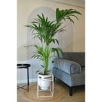 Özge design Metal Saksı Ayaklı Çiçeklik Beyaz Saksı Ayaklı Gümüş Vazo Dekoratif Saksılık 41x30